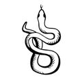 Snake is wrigging. Black and white vector illustration hand drawn. Classic image of the snake is isolated