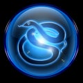 Snake Zodiac icon