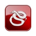 Snake Zodiac icon red..