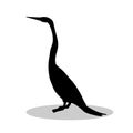 Snakebird anhinga black silhouette bird animal Royalty Free Stock Photo