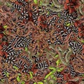 Snakes Seamless Texture Tile