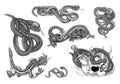 Snakes tattoo set. Animals tattoo set. Set of labels and elements. Vector set illustration template tattoo