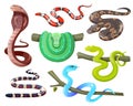 Snakes, wild tropical serpents, cobra and python