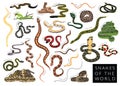 Snakes of the World Set Cartoon Vector Character