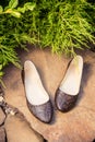 Snakeskin ballet flats, women's shoes on a rock