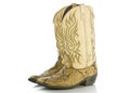 Snakeskin Cowboys Boots