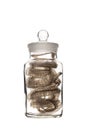 Snakeskin in a glass jar. Snake molting isolated on white background.