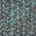 Snakeskin grunge texture Royalty Free Stock Photo