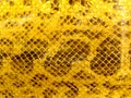 Snakeskin Macro