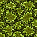 Snakeskin seamless pattern. Black and yellow green reptile repeating texture