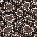 Snakeskin seamless pattern. Brown, beige and white reptile repeating texture