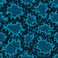 Snakeskin seamless pattern. Dark teal turquoise reptile repeating texture