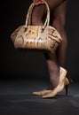 Snakeskin shoes and handbag Royalty Free Stock Photo