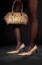 Snakeskin shoes and handbag Royalty Free Stock Photo