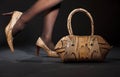 Snakeskin shoes and handbag Royalty Free Stock Photo