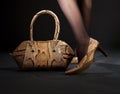 Snakeskin shoes and handbag Royalty Free Stock Photo