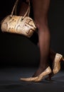 Snakeskin shoes and handbag Royalty Free Stock Photo