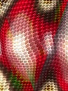 Snakeskin texture