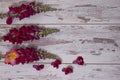 Snapdragon flowers bouquet arranged on wooden background