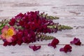 Snapdragon flowers bouquet arranged on wooden background