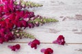 Snapdragon flowers bouquet arranged on wooden background