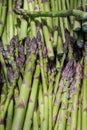 Snapped asparagus Royalty Free Stock Photo