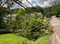 Snapped and downed power post and line after storm