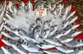 Snapper fish in ice on a market stall