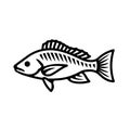 Snapper fish icon. Black line vector isolated icon on white background.