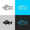 Snapper fish line icon. Common snapper outline.