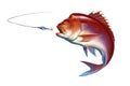 Snapper red big attacks fish bait jigs and stakes on white background isolate realistic illustration.