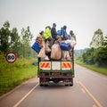 Everyday Life in Uganda