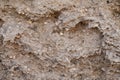 A snapshot of the texture of sedimentary limestone rock in a rock crevice Royalty Free Stock Photo