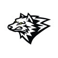 Snarling Wolf Logo of Sports Mascot Design Vector Illustration