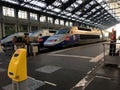 SNCF TGV trains at platform on Northern train station. High speed TGV train waiting for passenger to go to Switzerland. Royalty Free Stock Photo