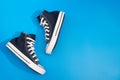 Sneackers lying on blue background. Top view. Flatlay. Copyspace center Royalty Free Stock Photo