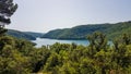 Vrsar - Fjord view through the tree crowns