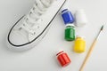 Sneaker, paint and brush Royalty Free Stock Photo