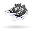 Sneaker shoes isolated Royalty Free Stock Photo