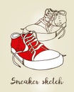 Sneaker vector color sketch