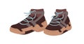 Sneakers, comfortable sport shoes. Modern comfort footwear. Fashion athletic footgear pair, hiking ankle-length trainers