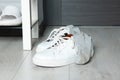 Sneakers with dirty socks on white wooden floor indoors Royalty Free Stock Photo