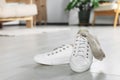 Sneakers with dirty socks on white wooden floor indoors Royalty Free Stock Photo