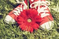 Sneakers and flower Royalty Free Stock Photo