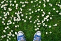 Top view on sneakers on green grass