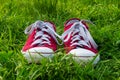 Sneakers on green grass, spring walk.