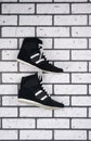 Sneakers, hanging on the hook on the background of a white brick wall Royalty Free Stock Photo