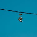 Sneakers hanging on a sky background. The concept of urban culture, sale of prohibited substances, ghetto Royalty Free Stock Photo