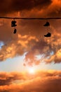 Sneakers hanging at sunset