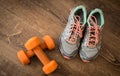 Sneakers and pair of orange dumbbells on wooden background. Weights for a fitness training.